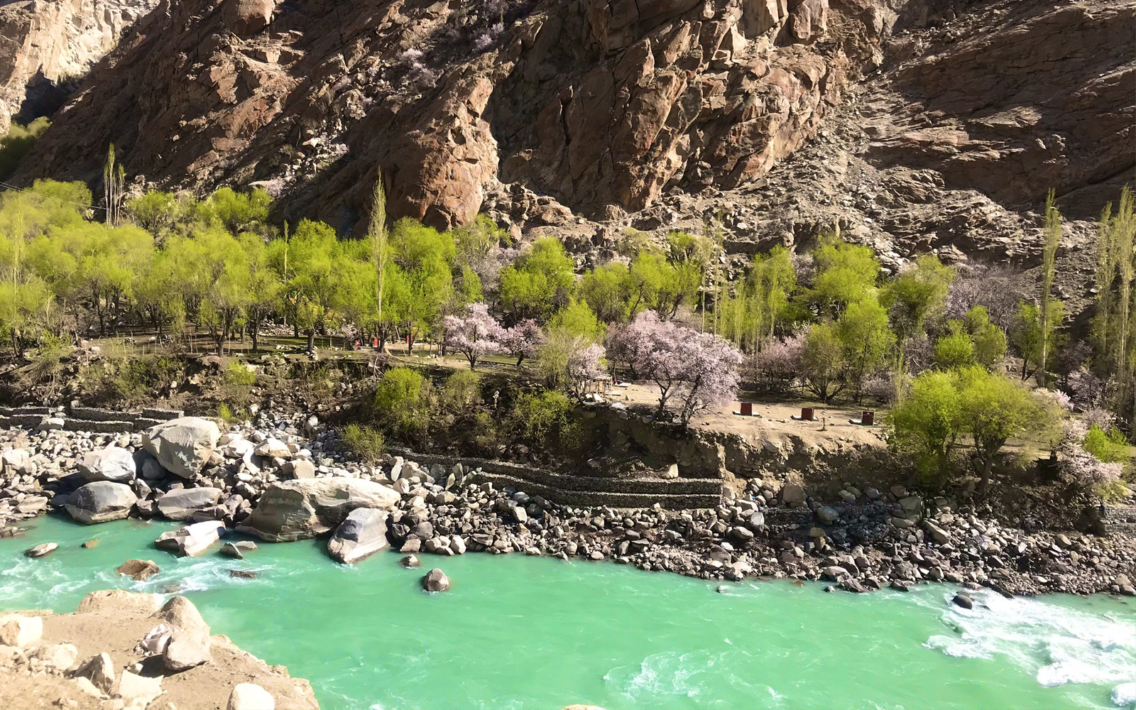 Aryan Valley Camp Ladakh